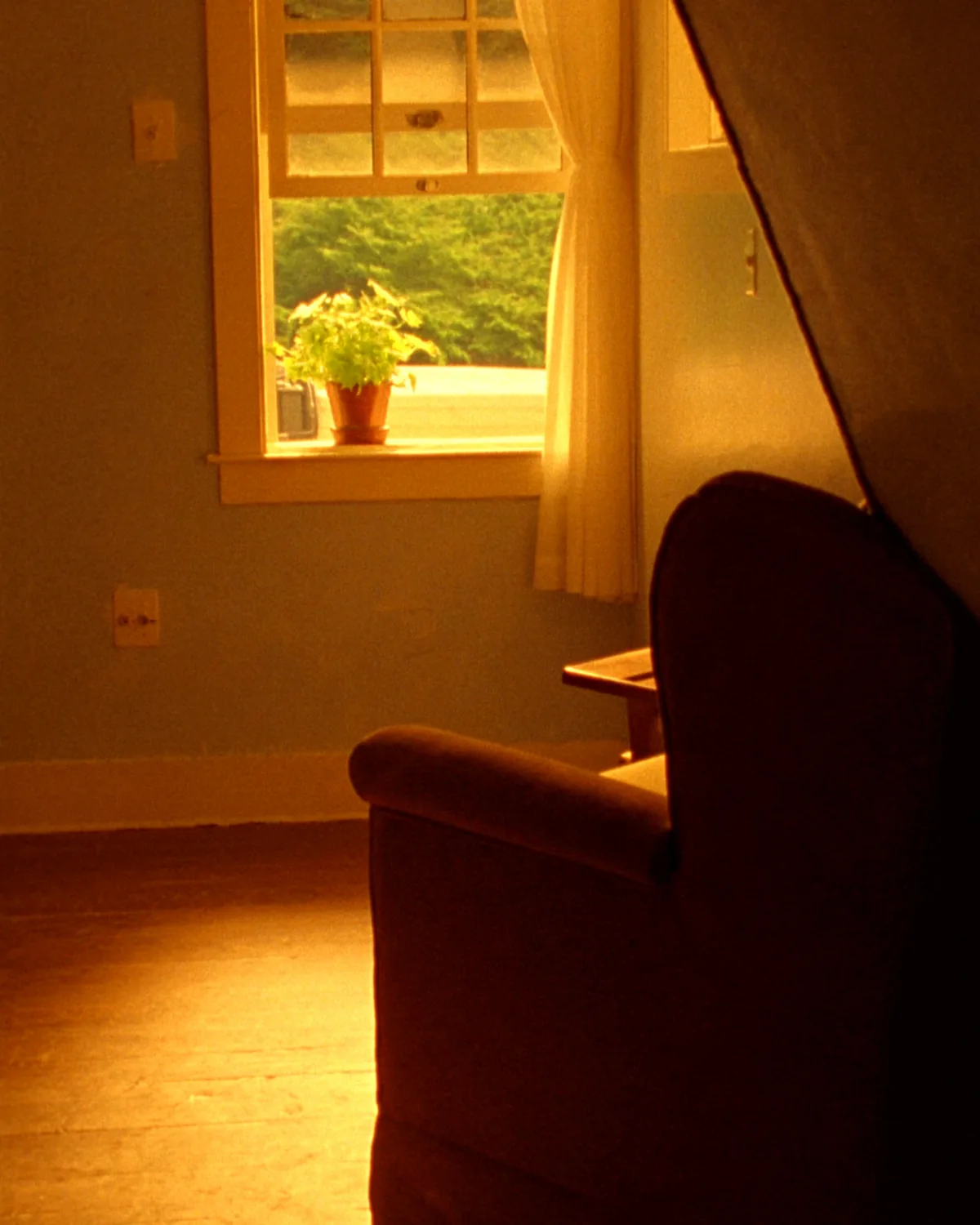 A tall wooden sash window with a sheer curtain drawn to one side, a plant on the sill and late afternoon light across a worn wood floor.